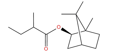 (R)-1,7,7-Trimethylbicyclo[2.2.1]hept-2-yl 2-methylbutanoate